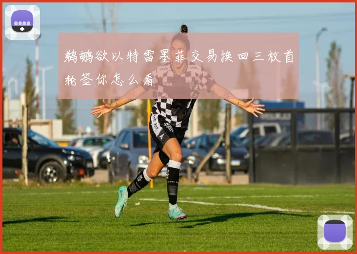鹈鹕欲以特雷墨菲交易换回三枚首轮签你怎么看