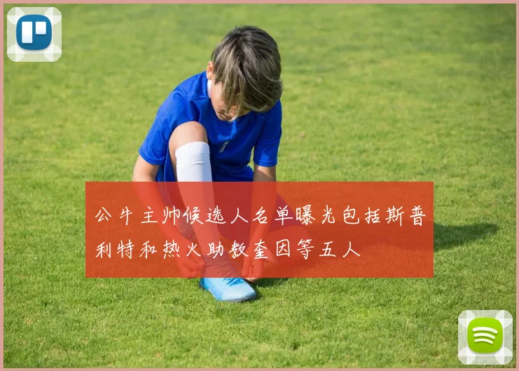 公牛主帅候选人名单曝光包括斯普利特和热火助教奎因等五人