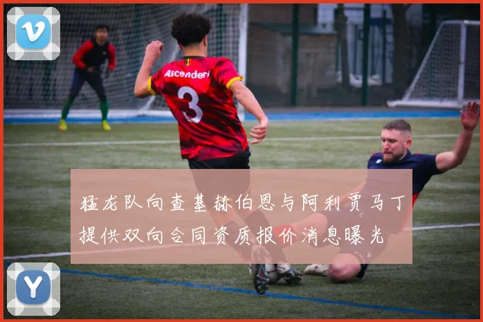 猛龙队向查基赫伯恩与阿利贾马丁提供双向合同资质报价消息曝光